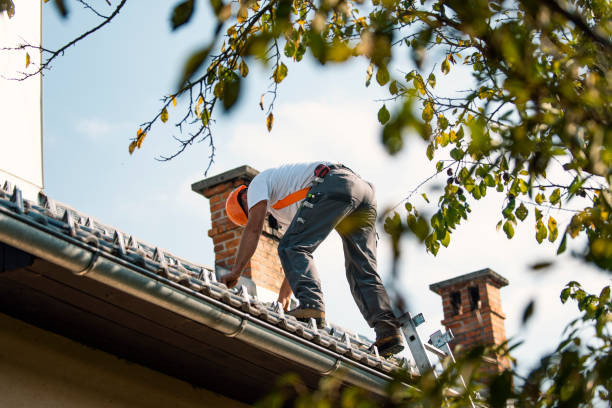 Best Chimney Flashing Repair  in Buckeye Lake, OH